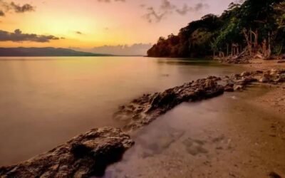 Best Beaches in Andaman